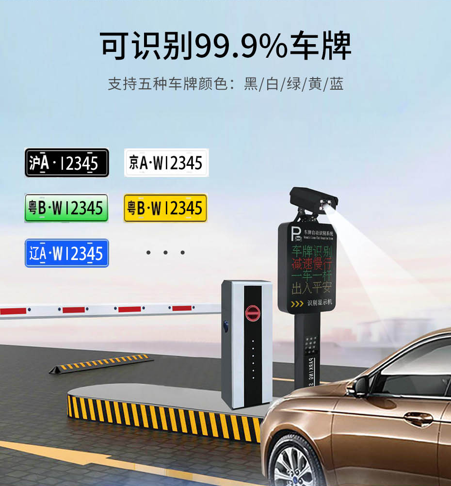 車(chē)牌詳情集合_09